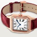 Cartier Santos-Dumont - Bild 6