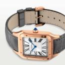 Cartier Santos-Dumont - Bild 4