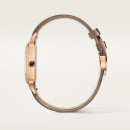 Cartier Santos-Dumont - Bild 4