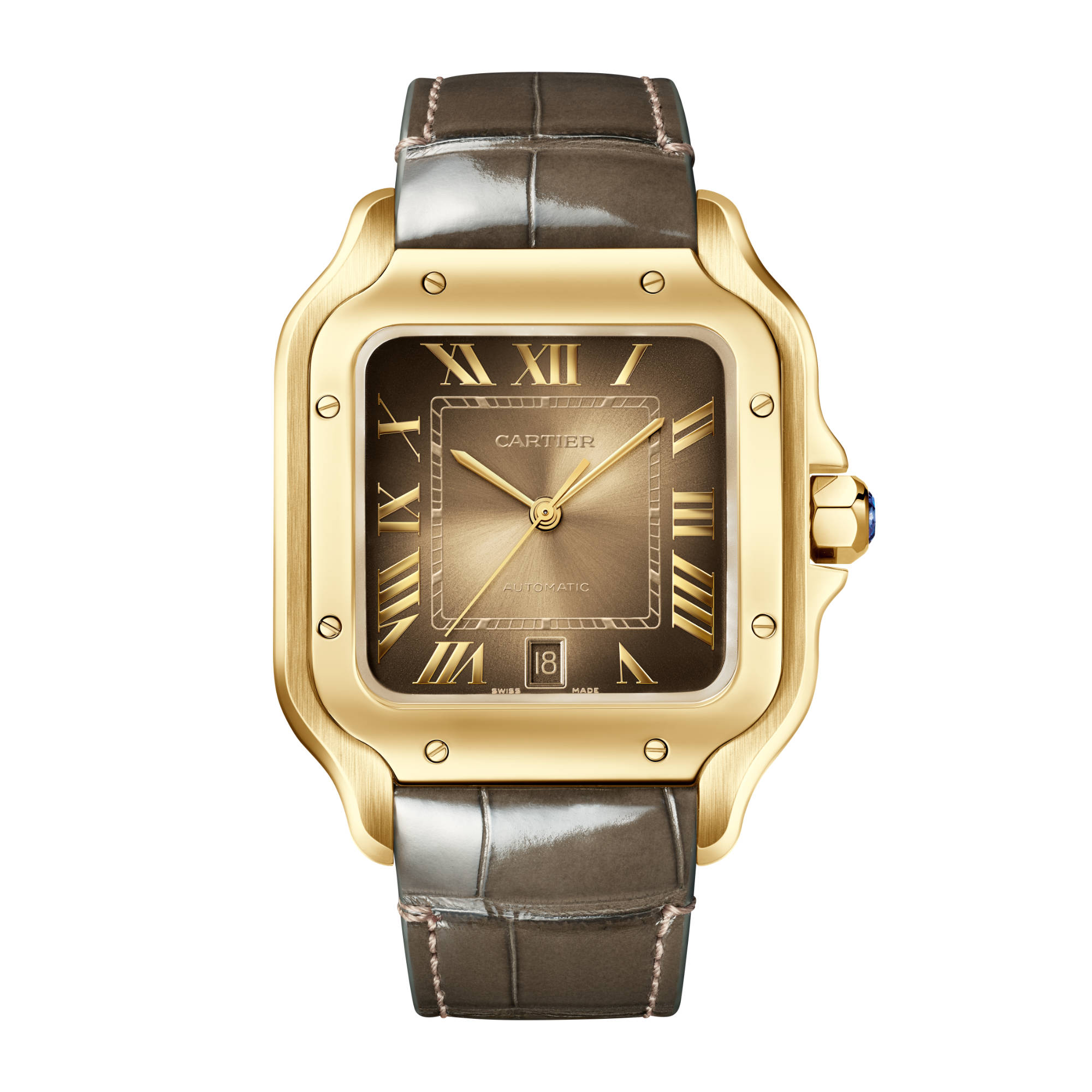 Santos de cartier watch deals