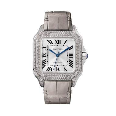 Unisex, Automatik, Cartier Santos de Cartier