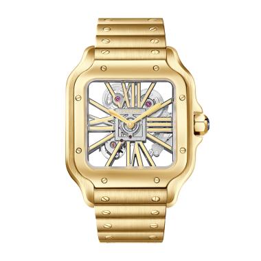 Santos de cartier womens watch sale