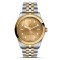 Bicolor, Gelbgold, Champagner