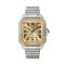 Bicolor, Gelbgold, Gold