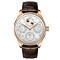 Leder, Gold, Silber
