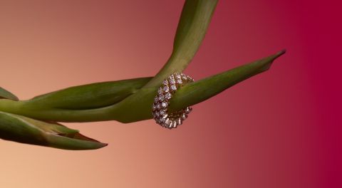 serafino-consoli-schmuck-banner-mobil